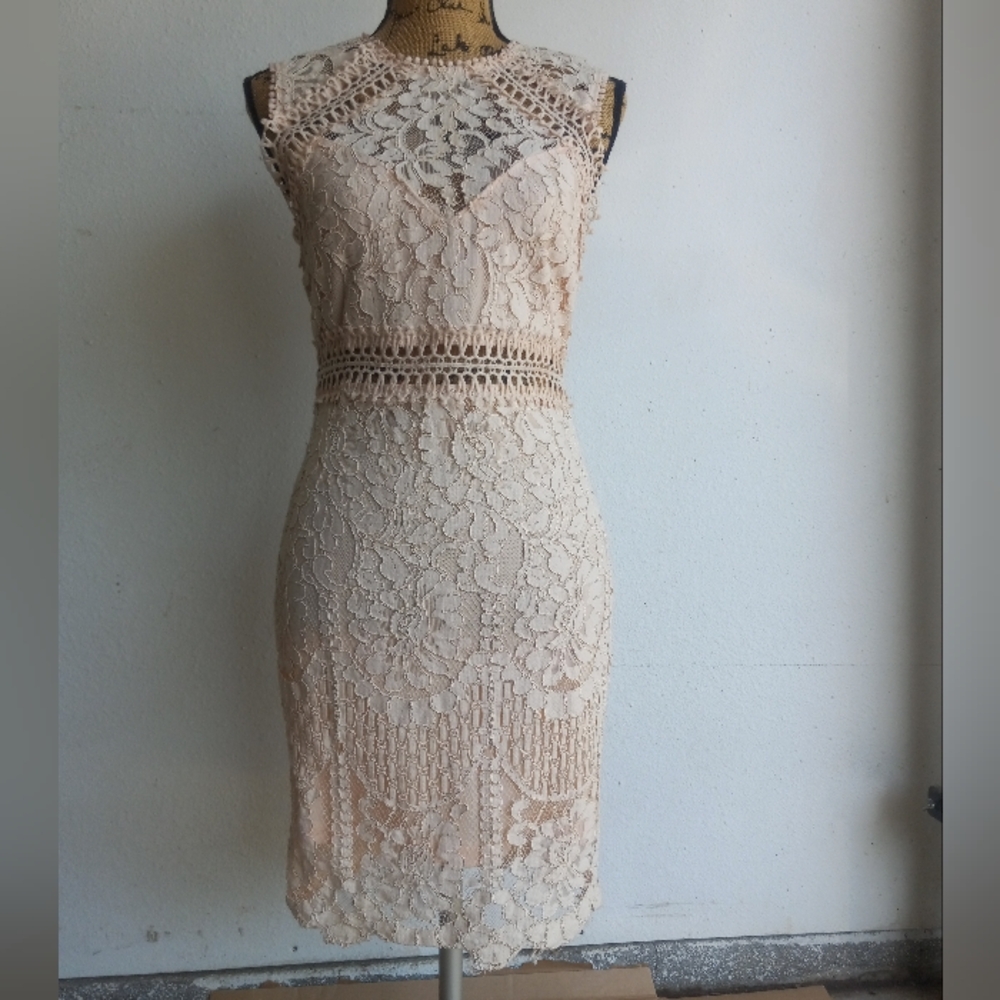Main Strip Lace Blush Pink Women's Size Large Dress